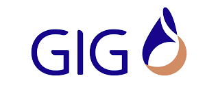GIG logo